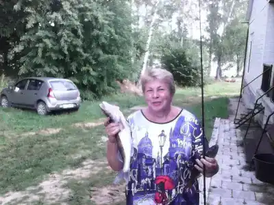Богданово - 81