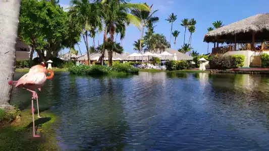 Natura Park Beach & Spa Eco - All Inclusive - 33