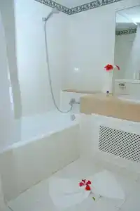 Bougainvillier Djerba - 6