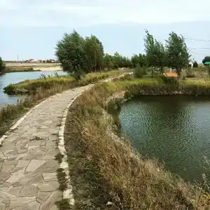 Ерши - 54