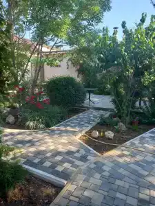 Солнышко - 82