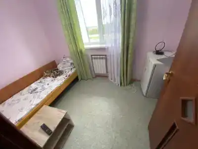 Кедр - 12