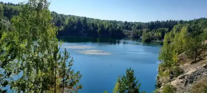 Караканский бор - 0