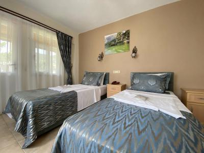 Portakal Dalyan - 83