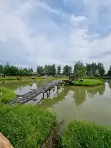 Подмосковный домик - 28