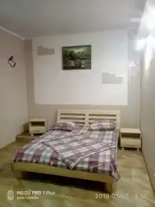 Сосна и Пальмы - 19