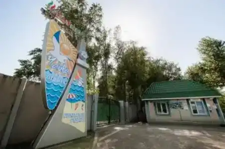 Чайка - 7