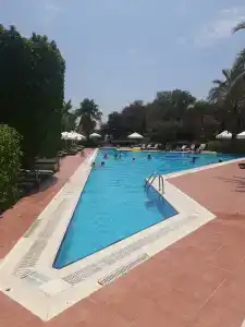 Lago - 92