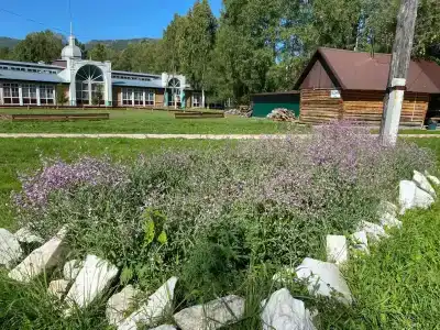 Спутник - 10