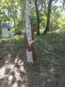 Лада - 11