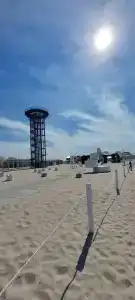 Статус - 21