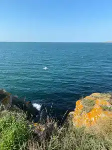 Kazantip - 30