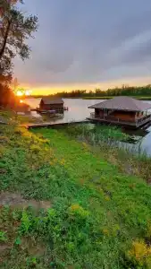 Роза Ветров - 33