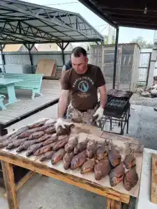Астраханская жемчужина - 36