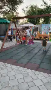 Фаворит - 33