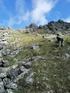 Серебрянский Камень - 10