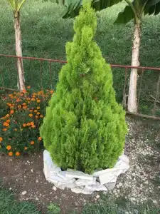 Аӡыхь - Абхазия - 3