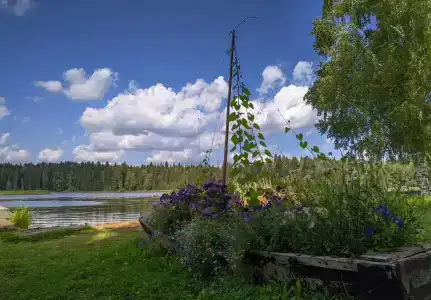 Кылдысин - 24