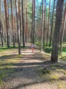 Лотос - 20