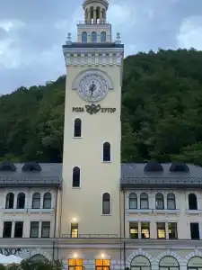 Голден Тюлип - 31