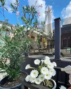 Казантипская хижина - 16