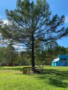 Спутник - 15