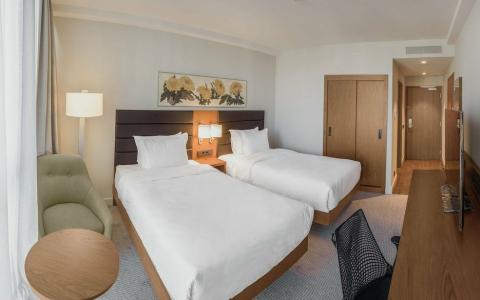 Hilton Garden Inn Tbilisi Chavchavadze - 44