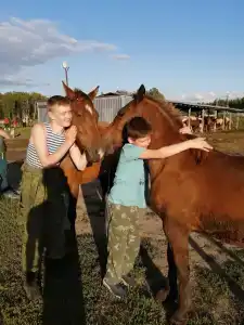 Баллада - 95