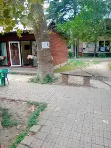 Кураж - 50