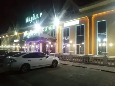 Шарк - 7