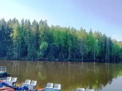 Ельничный - 0