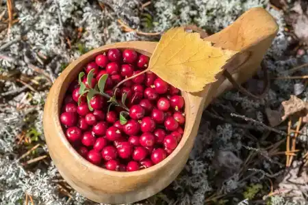 Экотур - 47