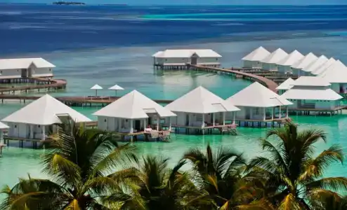 Diamonds Athuruga Maldives Resort & Spa - 41