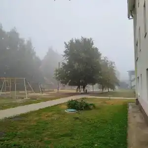 Дубравушка - 20