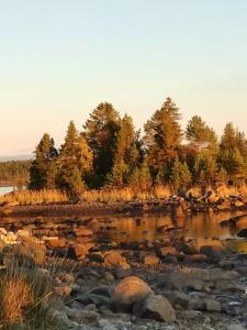 Кедр Грасс Белое Море - 77