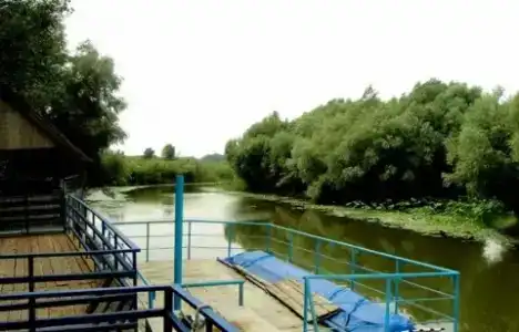 Усадьба РИО - 12