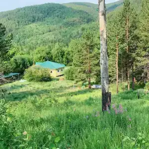 Халюта - 5