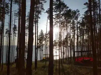 Разгуляево - 59