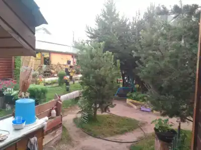 Незабудка - 36