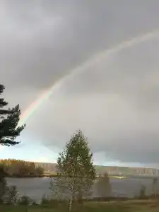 Зелёная роща - 8