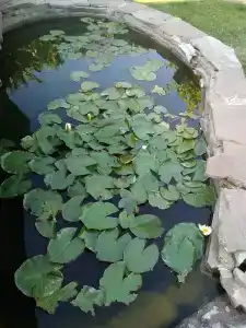 Морской Компас - 13
