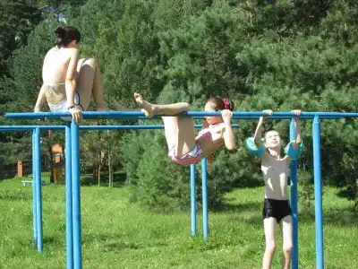 Иволга - 23