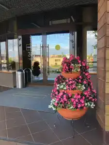 Стандарт - 46