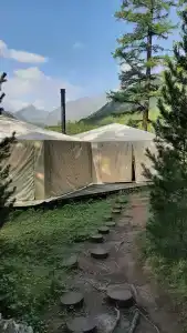 Лес и Море - 28