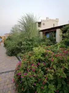 Лето - 11
