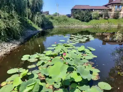 Афродита - 35