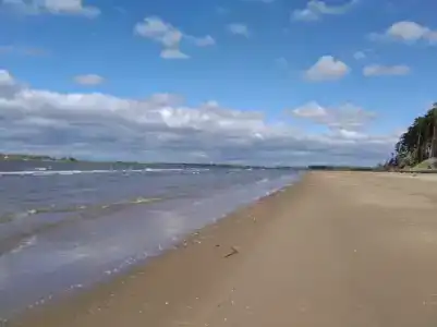 Медвежий угол - 12