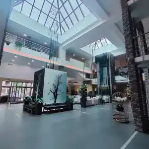 Голден Тюлип - 40