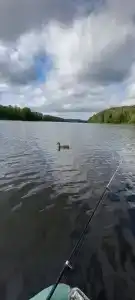 Марциальные ключи - 81