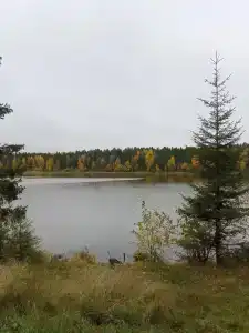 Металлург - 5